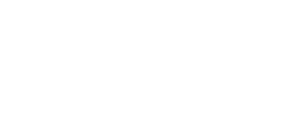 logo footer